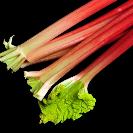 LINET / Inšpirovaná PARFUMS de MARLY Delina .. 100ml