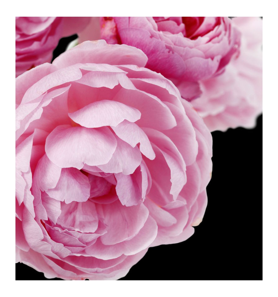CHEANTE / Inšpirovaná CHANEL - Coco Mademoiselle .. 100ml