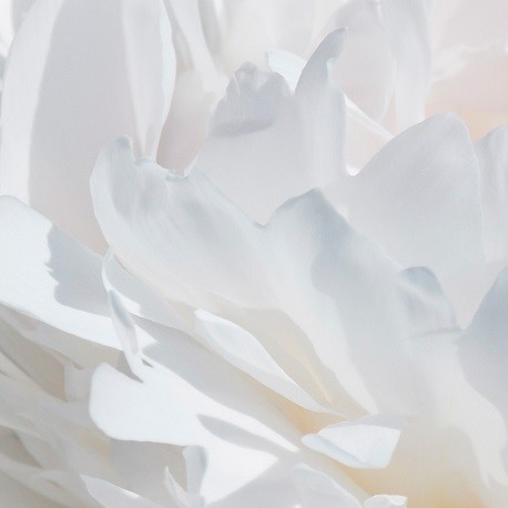 VÁLIA / Inšpirovaná PARFUMS de MARLY Valaya .. 100ml